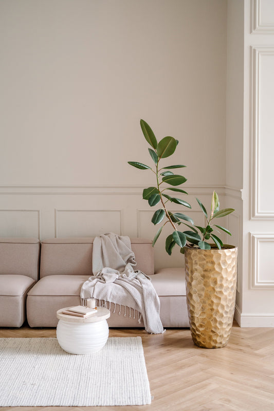 Wat is compact wonen nou echt?